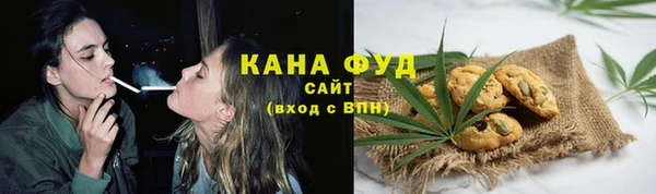 Альфа ПВП Медногорск