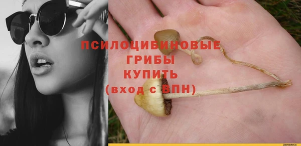 Альфа ПВП Медногорск