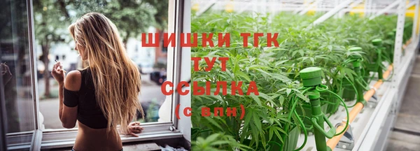 амф Мегион