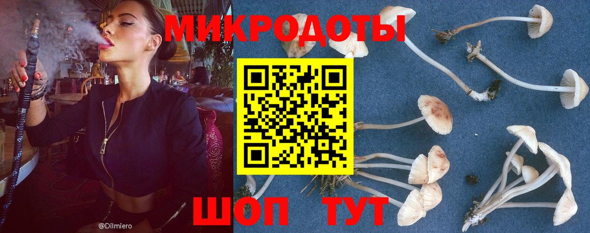 Галлюциногенные грибы Cubensis  Коммунар 