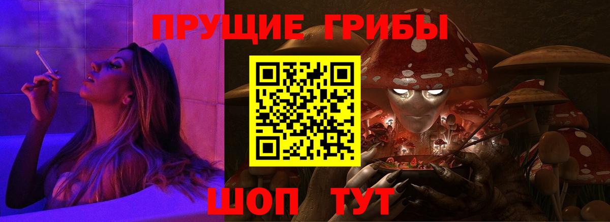 хочу   Вход с VPN  Коммунар  Галлюциногенные грибы Magic Shrooms 